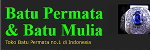 Project